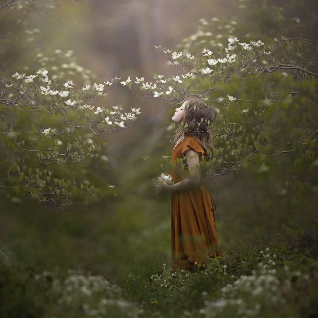 Photography in Nature. Little girl among the blossoms