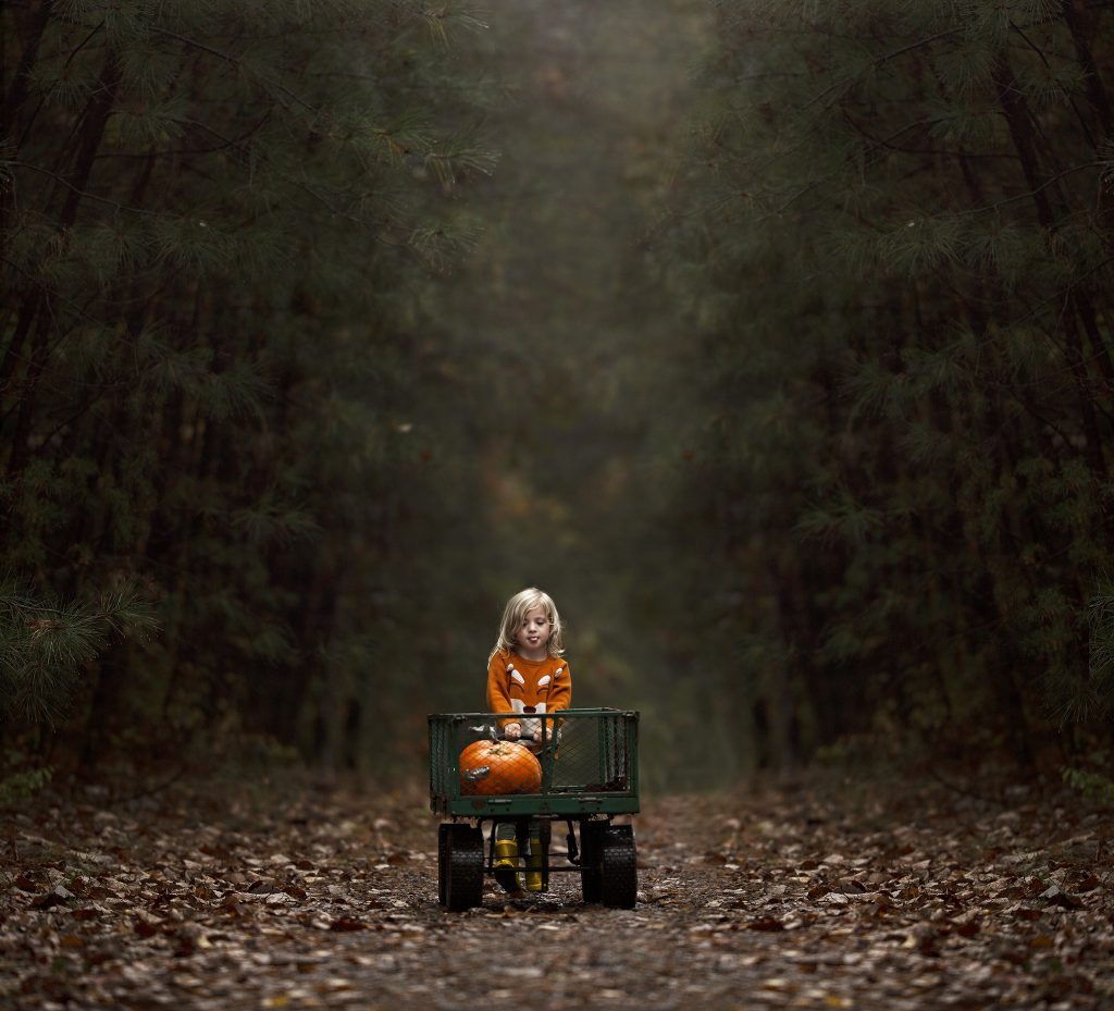Little boy pulling a wagon with pumpkins